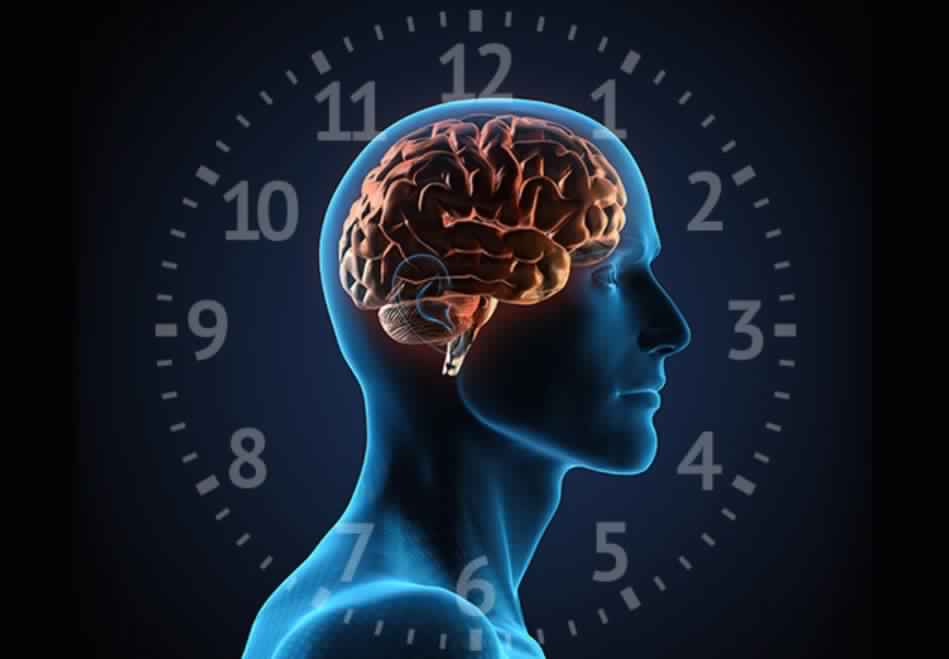 Circadian Rhythm Sleep Wake Disorders